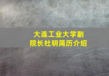 大连工业大学副院长杜明简历介绍