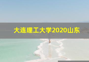 大连理工大学2020山东