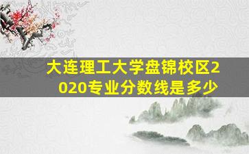 大连理工大学盘锦校区2020专业分数线是多少