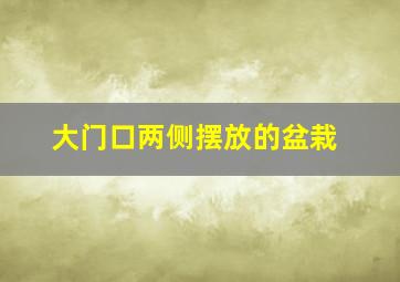 大门口两侧摆放的盆栽