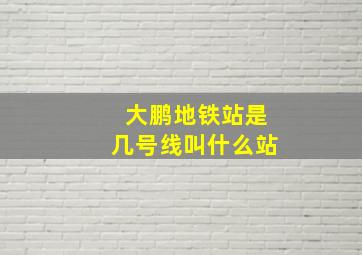 大鹏地铁站是几号线叫什么站