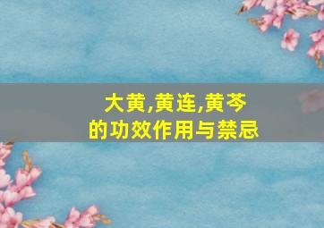 大黄,黄连,黄芩的功效作用与禁忌