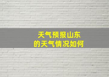 天气预报山东的天气情况如何