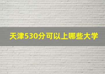 天津530分可以上哪些大学