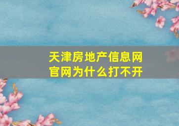 天津房地产信息网官网为什么打不开