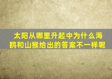 太阳从哪里升起中为什么海鸥和山猴给出的答案不一样呢