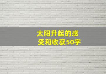 太阳升起的感受和收获50字