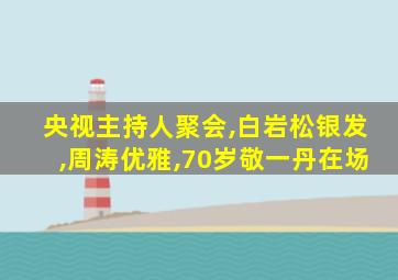 央视主持人聚会,白岩松银发,周涛优雅,70岁敬一丹在场