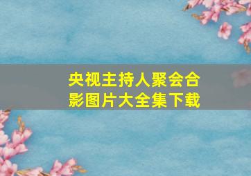 央视主持人聚会合影图片大全集下载