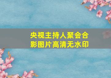 央视主持人聚会合影图片高清无水印