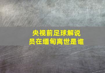 央视前足球解说员在缅甸离世是谁