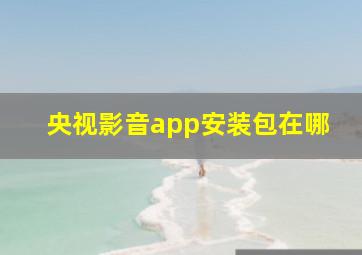 央视影音app安装包在哪