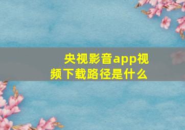 央视影音app视频下载路径是什么