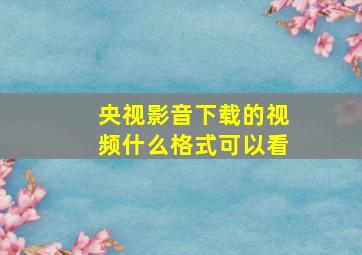 央视影音下载的视频什么格式可以看