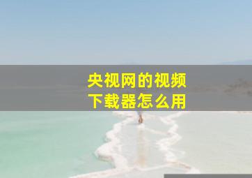 央视网的视频下载器怎么用