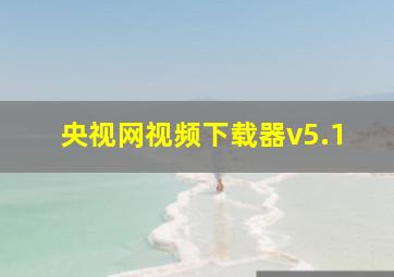 央视网视频下载器v5.1