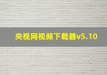 央视网视频下载器v5.10