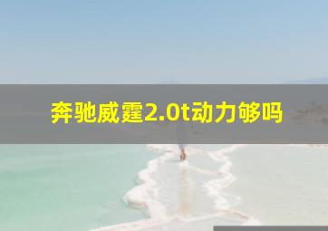 奔驰威霆2.0t动力够吗