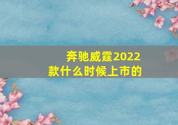 奔驰威霆2022款什么时候上市的