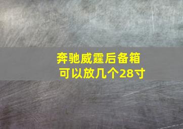 奔驰威霆后备箱可以放几个28寸