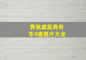 奔驰威霆商务车9座图片大全