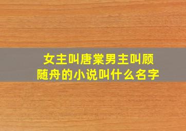 女主叫唐棠男主叫顾随舟的小说叫什么名字