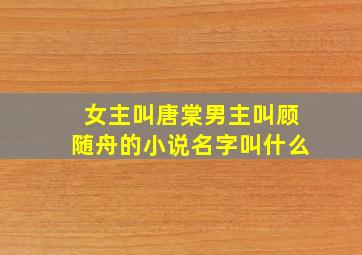 女主叫唐棠男主叫顾随舟的小说名字叫什么