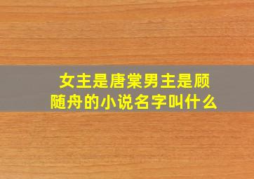 女主是唐棠男主是顾随舟的小说名字叫什么