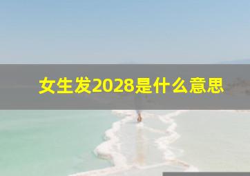 女生发2028是什么意思