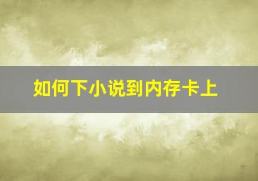 如何下小说到内存卡上