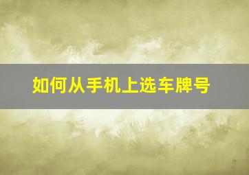 如何从手机上选车牌号