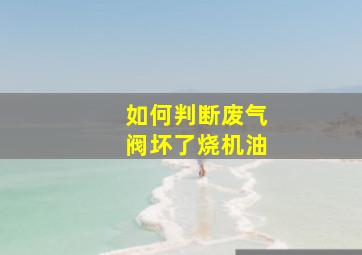 如何判断废气阀坏了烧机油