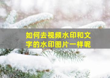 如何去视频水印和文字的水印图片一样呢