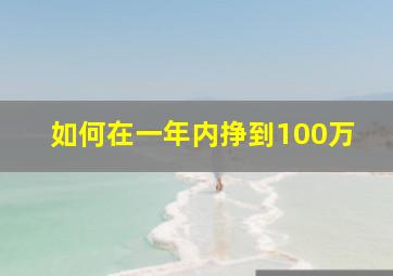 如何在一年内挣到100万