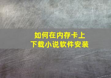 如何在内存卡上下载小说软件安装