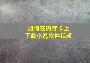 如何在内存卡上下载小说软件视频