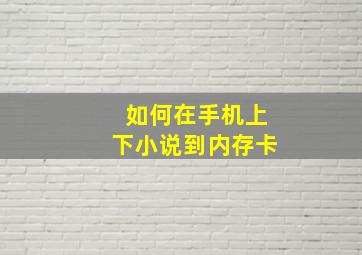 如何在手机上下小说到内存卡