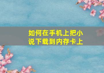 如何在手机上把小说下载到内存卡上