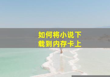 如何将小说下载到内存卡上