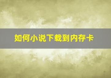 如何小说下载到内存卡