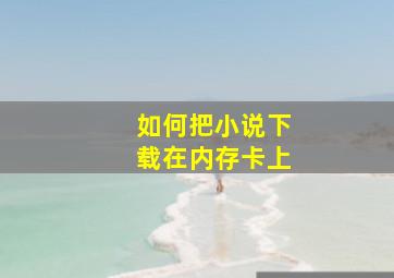 如何把小说下载在内存卡上