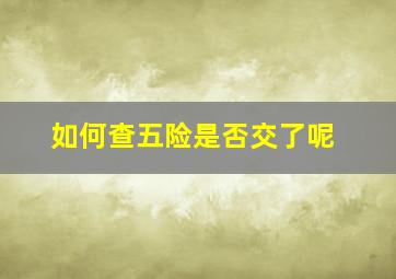 如何查五险是否交了呢