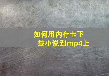 如何用内存卡下载小说到mp4上