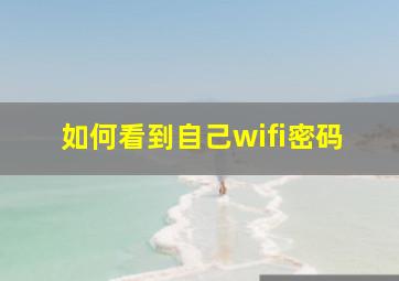 如何看到自己wifi密码