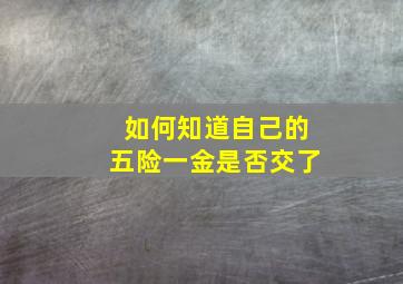 如何知道自己的五险一金是否交了