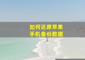 如何还原苹果手机备份数据