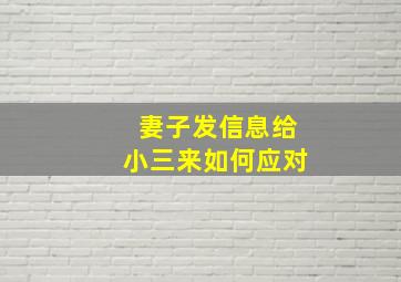 妻子发信息给小三来如何应对