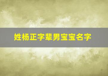 姓杨正字辈男宝宝名字