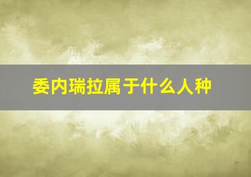 委内瑞拉属于什么人种