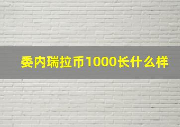 委内瑞拉币1000长什么样